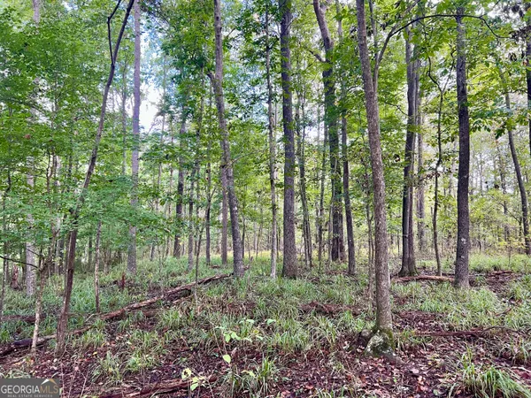 a view of yard with green space and garden