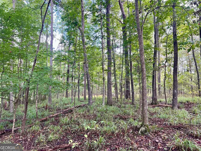a view of yard with green space and garden