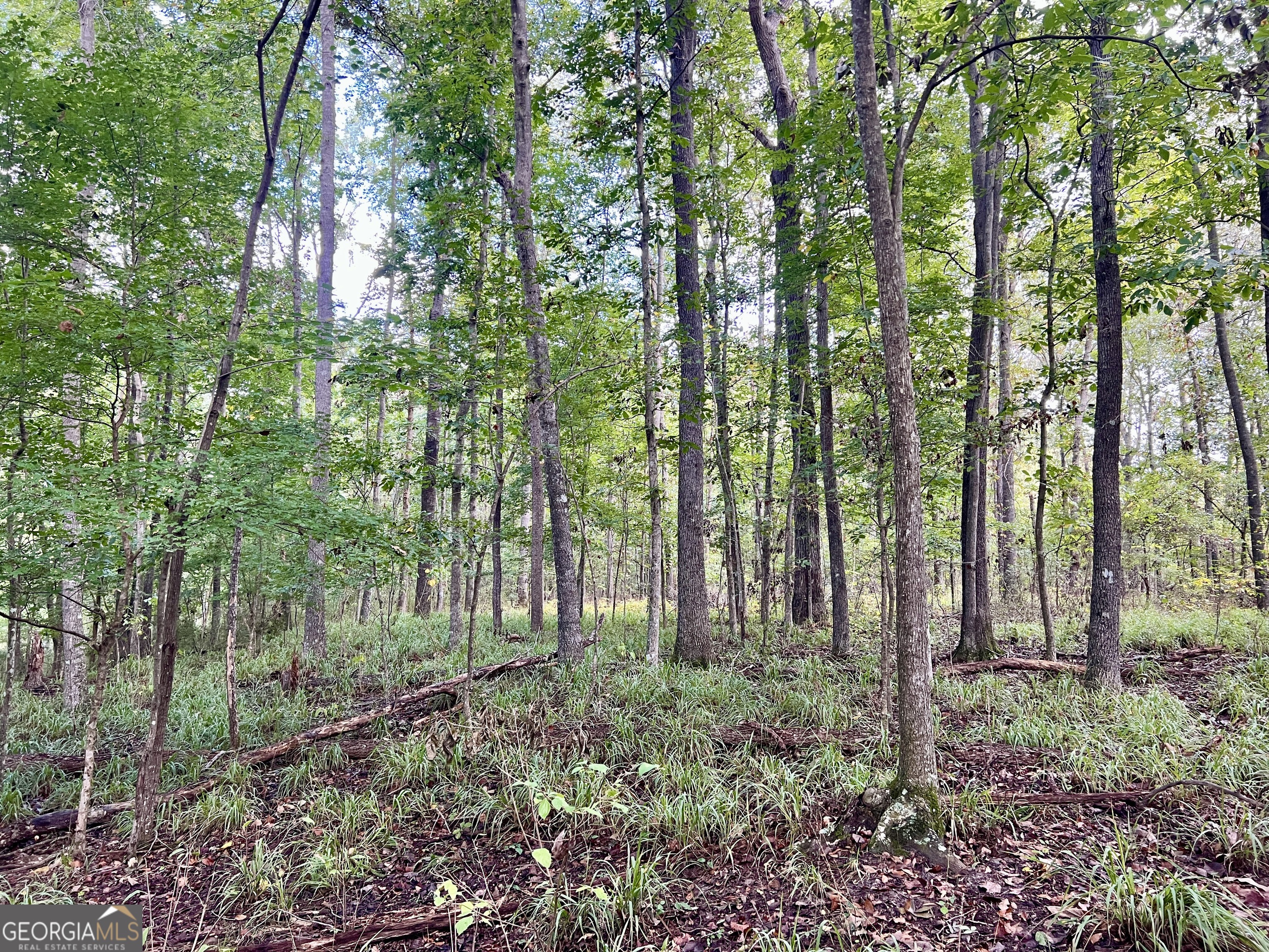 136 Pope Road Pineview, GA 31071 - Photo 7 of 58 a view of outdoor space and green space