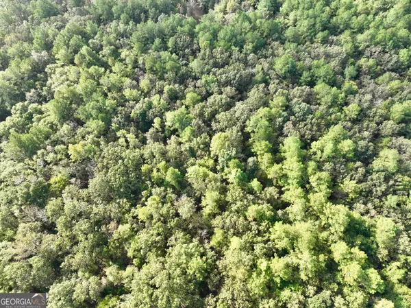 a view of outdoor space with trees