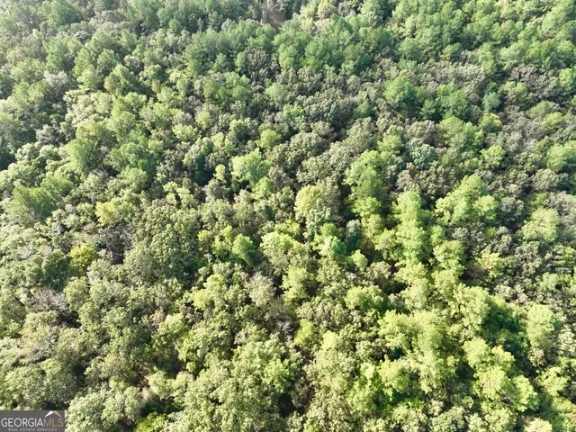 a view of outdoor space with trees