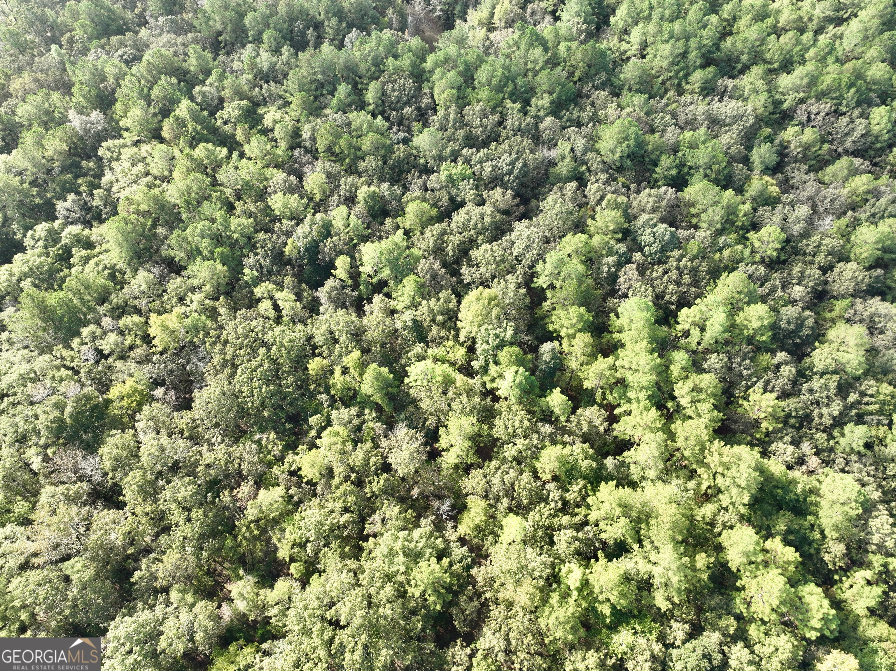 136 Pope Road Pineview, GA 31071 - Photo 8 of 58