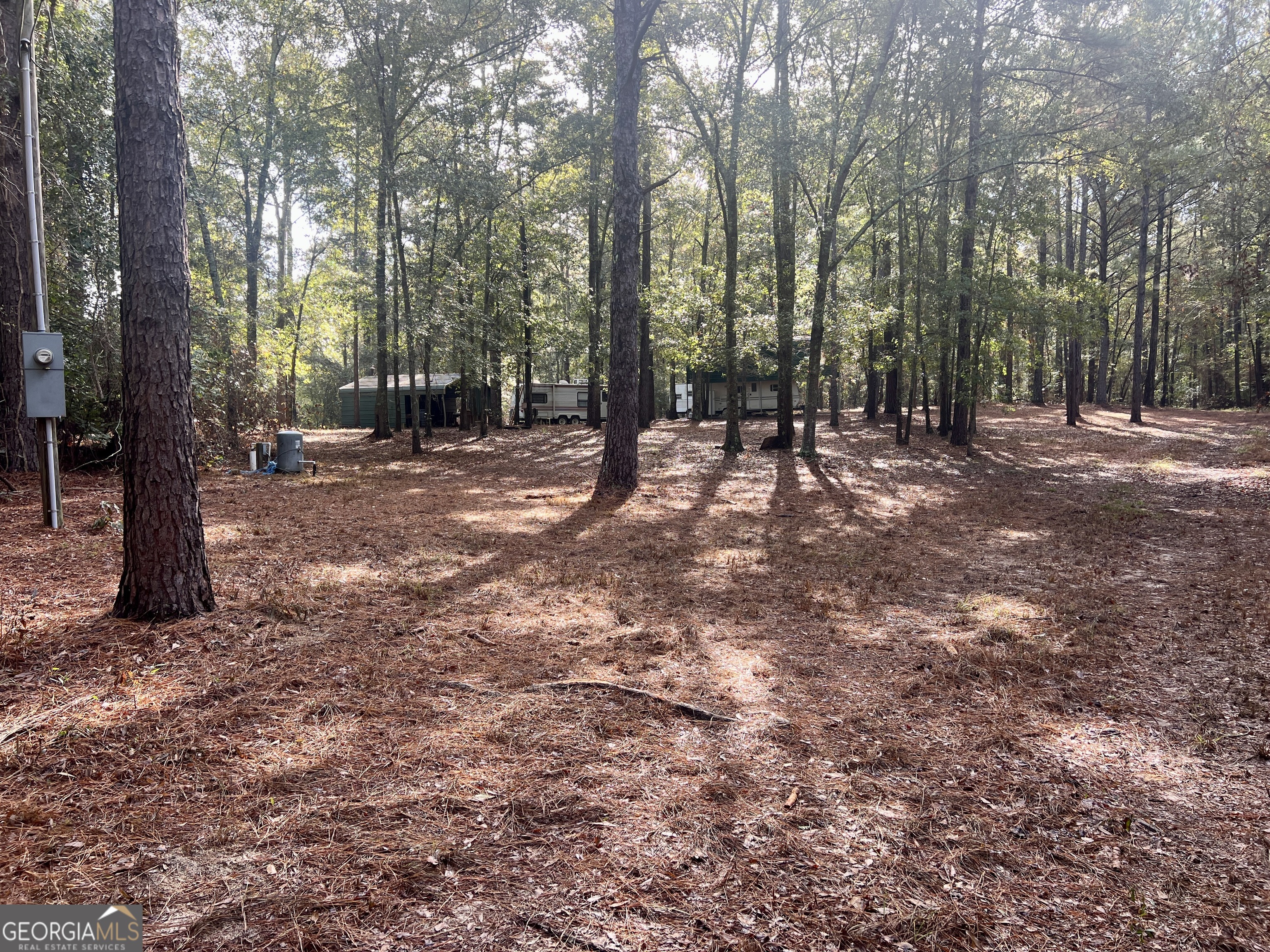 136 Pope Road Pineview, GA 31071 - Photo 9 of 58 a view of a forest with trees