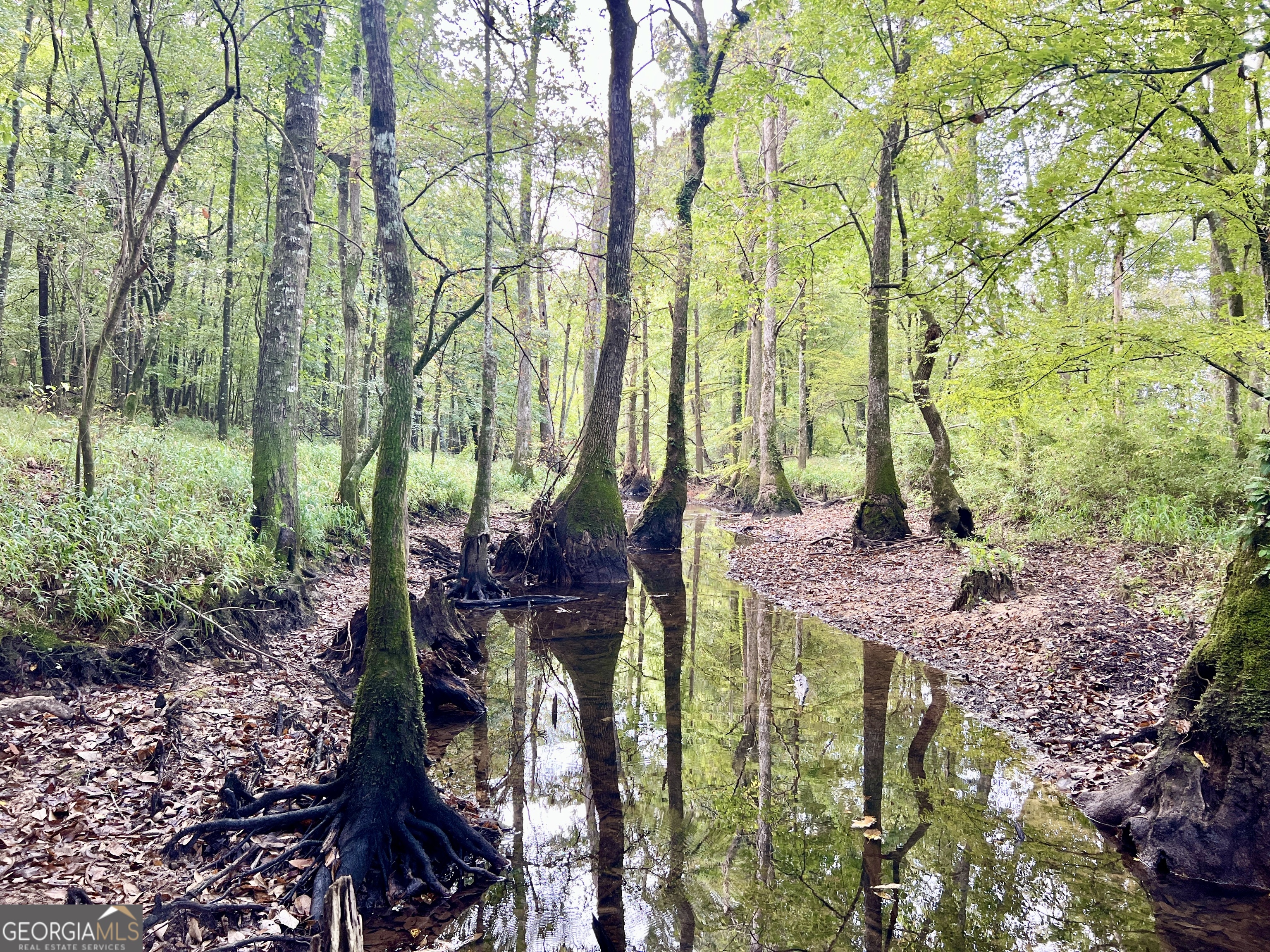 136 Pope Road Pineview, GA 31071 - Photo 10 of 58 a view of yard with green space and garden