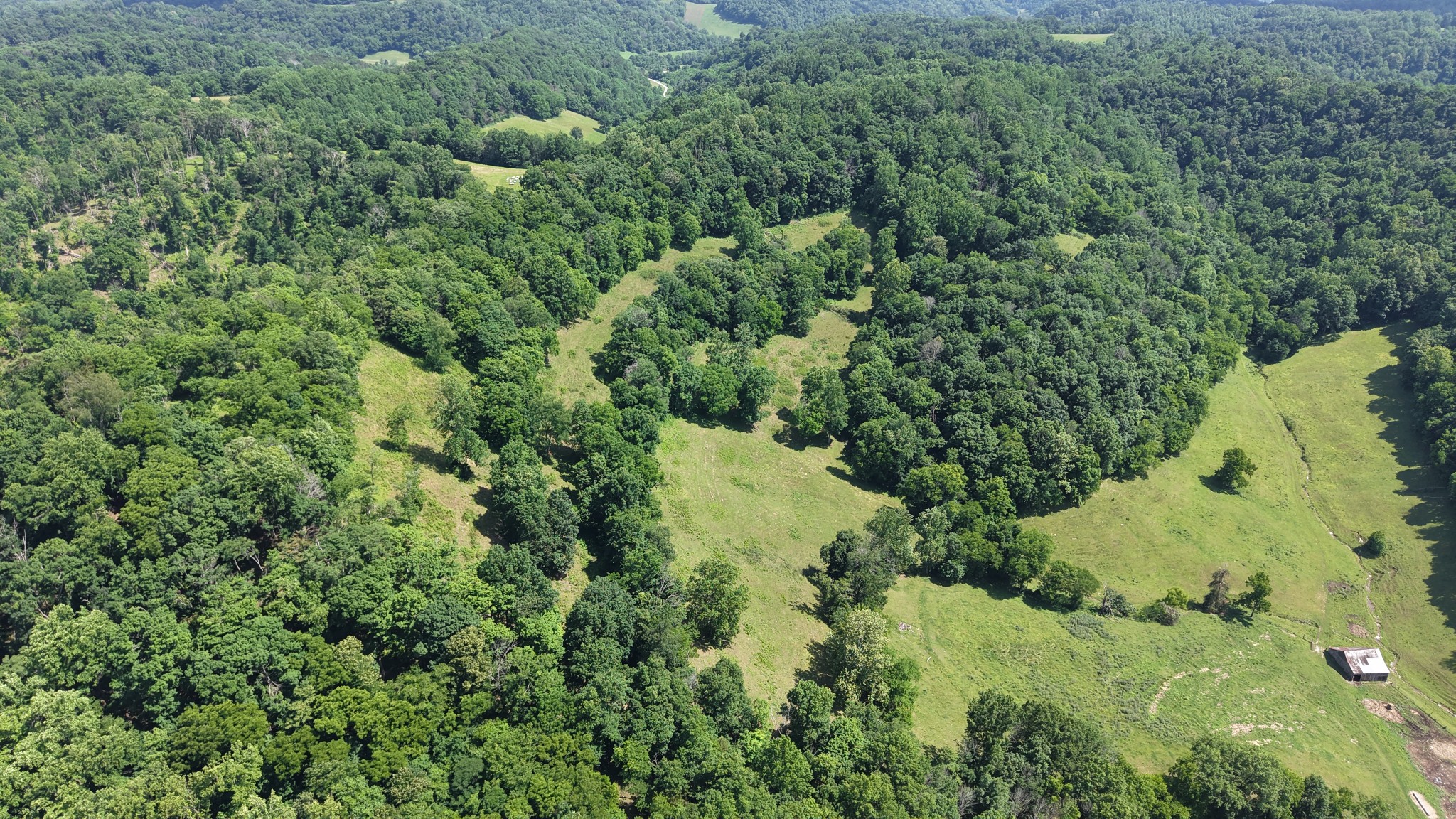 1358 Dry Branch Road Dixon Springs, TN 37057 - Photo 88 of 98
