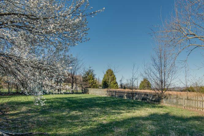 6418 Eudailey-Covington Road College Grove, TN 37046 - Photo 29 of 30 a view of a house with a big yard