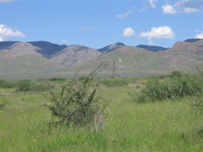 0 East Many Wells Road East Bowie, AZ 85605 - Photo 3 of 3