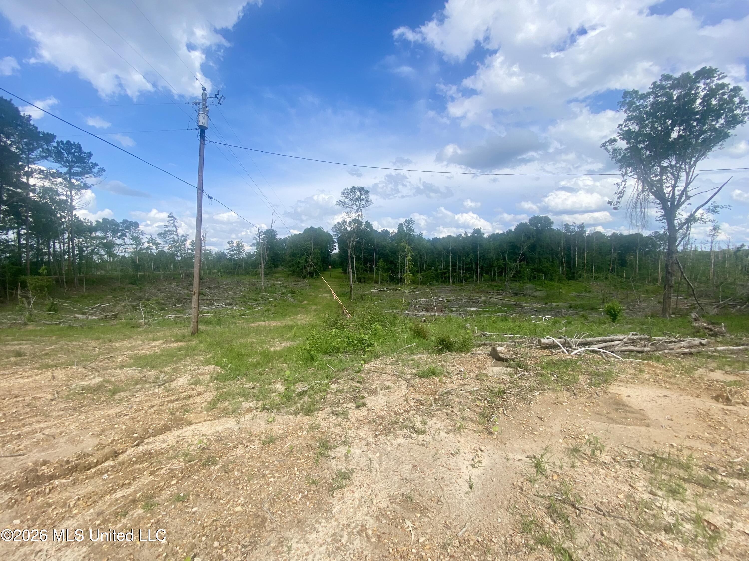 4194 Martinsville Road Wesson, MS 39191 - Photo 4 of 9 IMG_5909