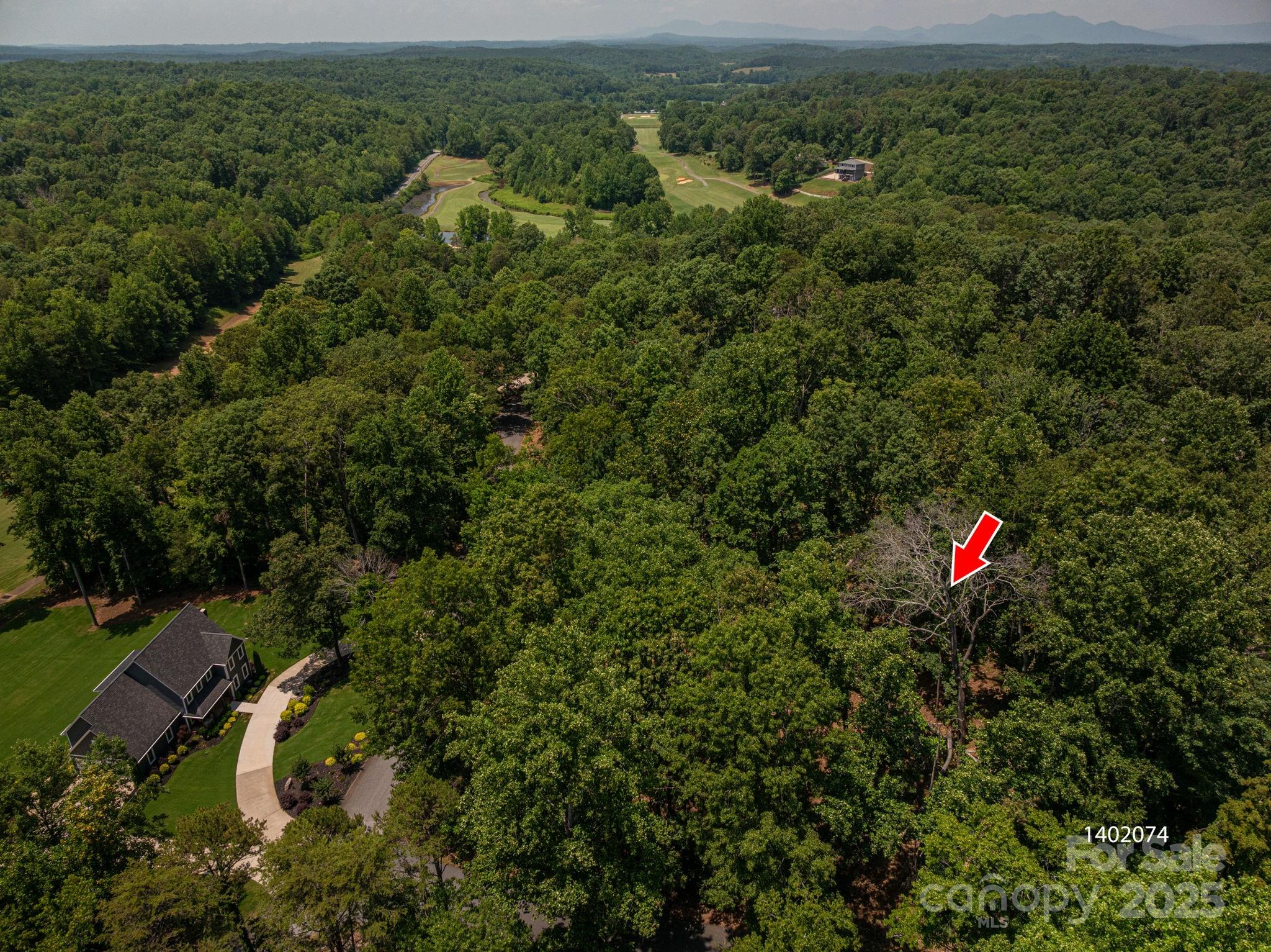 Lot #9 Moss Drive Rutherfordton, NC 28139 - Photo 5 of 22