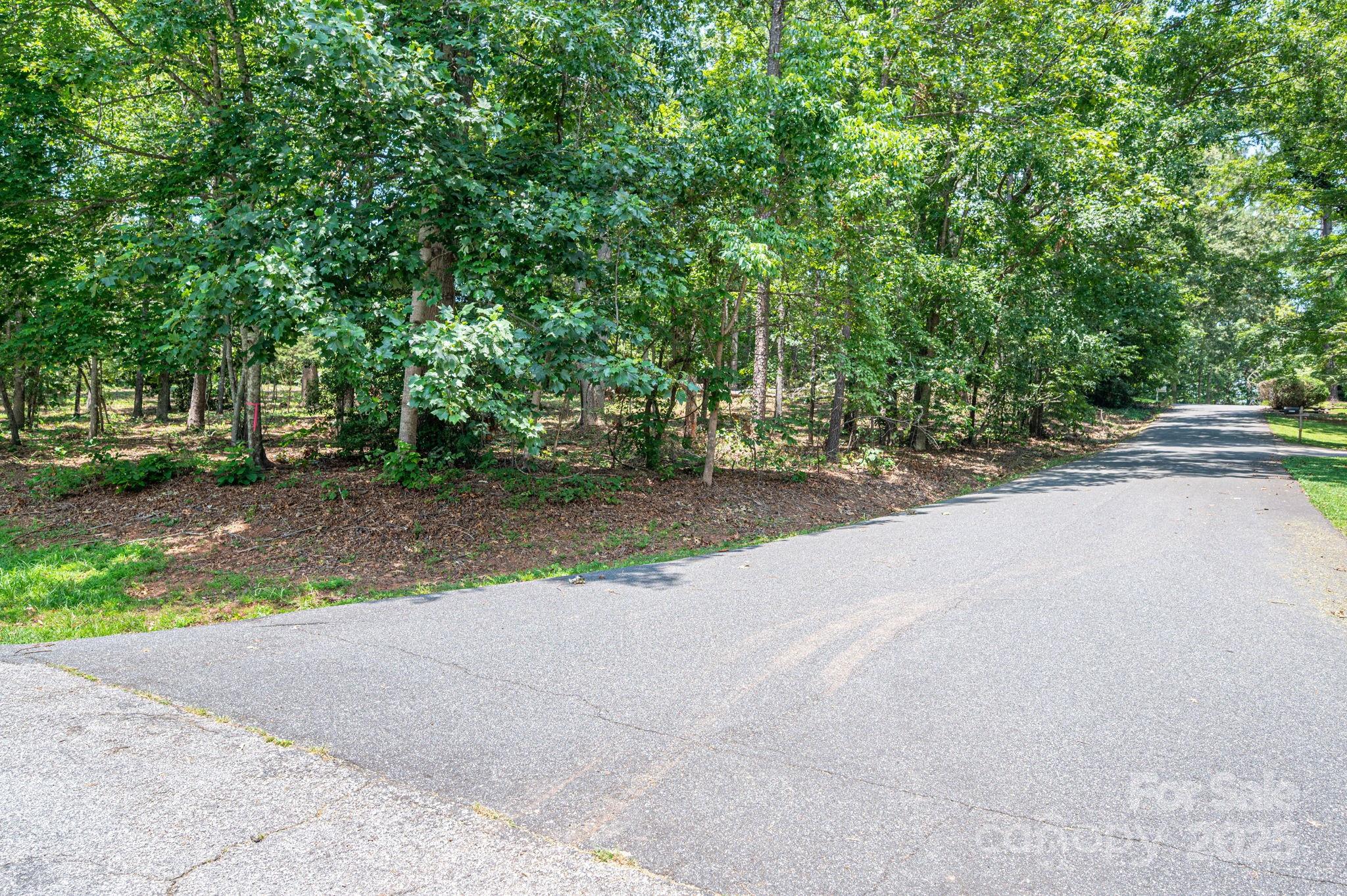Lot #9 Moss Drive Rutherfordton, NC 28139 - Photo 6 of 22