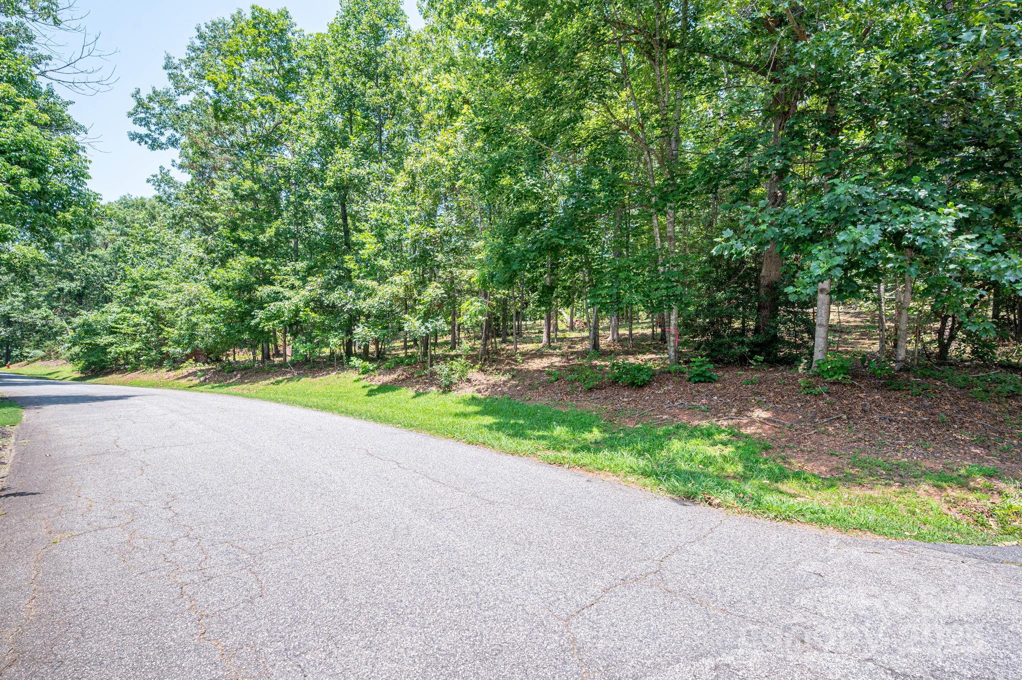 Lot #9 Moss Drive Rutherfordton, NC 28139 - Photo 8 of 22