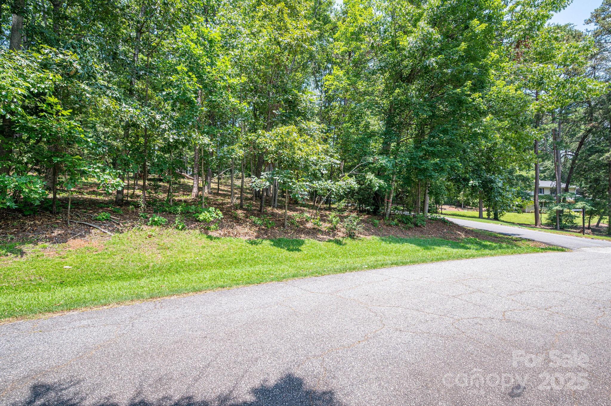 Lot #9 Moss Drive Rutherfordton, NC 28139 - Photo 9 of 22