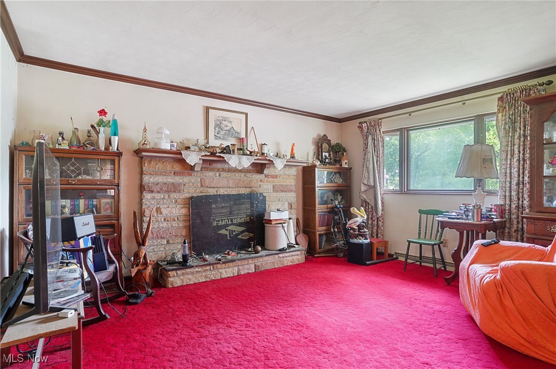 49390 Fredericktown Road Negley, OH 44441 - Photo 7 of 34 Carpeted living area with a fireplace and crown molding