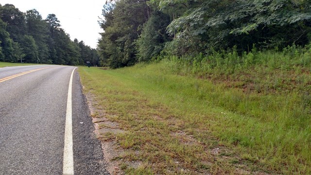 Lot 9 Morris Stevens Road, Unit 9 Macon, GA 31217 - Photo 1 of 2 Primary Photo