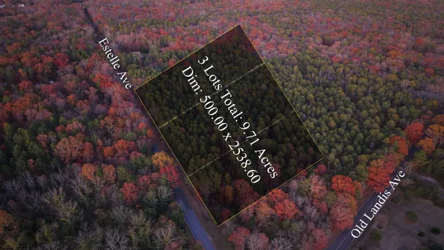 $77,500 | Lot:11.02-12.02 Estelle Avenue, Mays Landing, NJ 08330