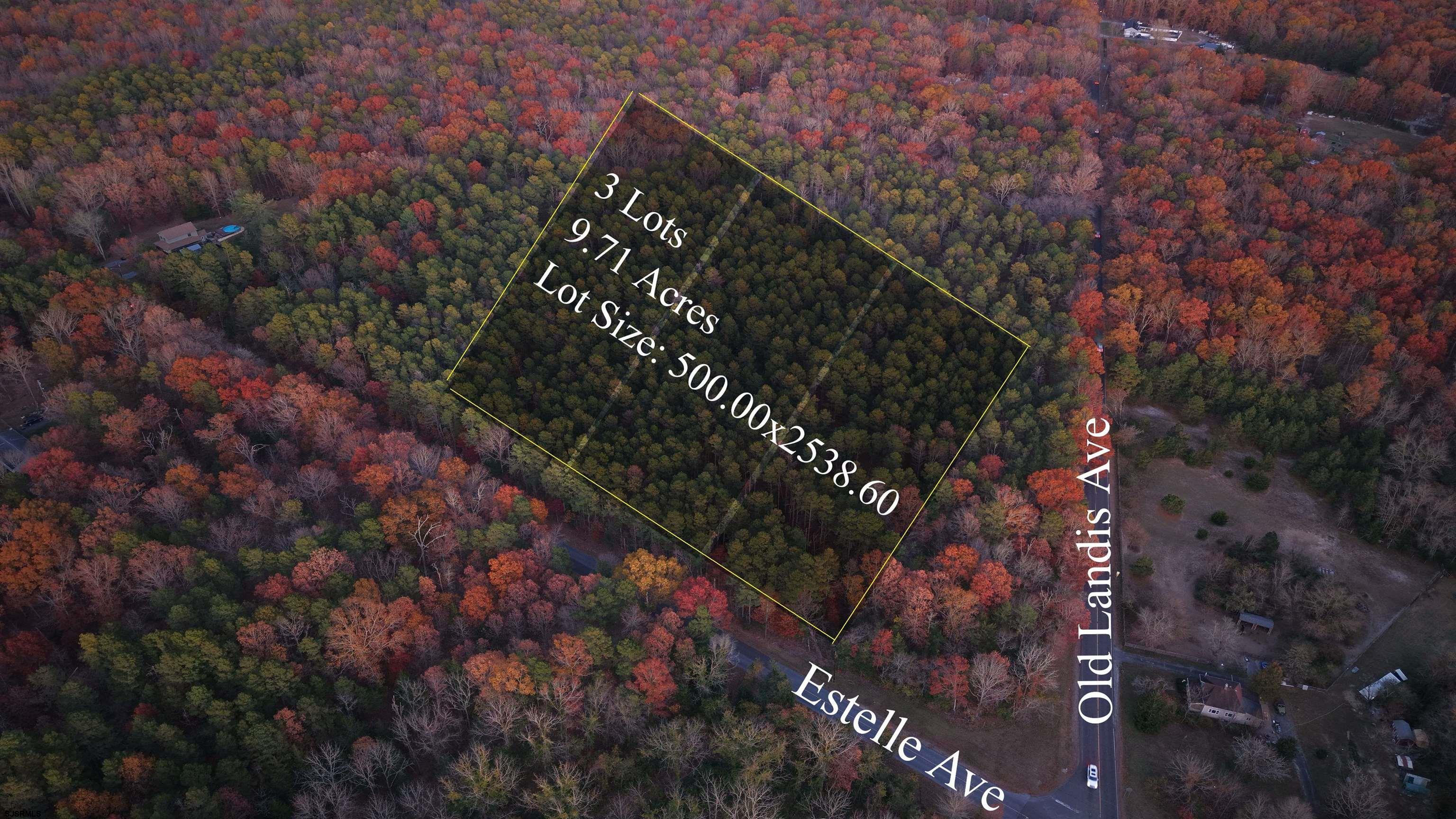 Lot:11.02-12.02 Estelle Avenue Mays Landing, NJ 08330 - Photo 2 of 6