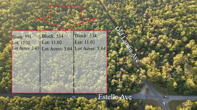 $77,500 | Lot:11.02-12.02 Estelle Avenue, Mays Landing, NJ 08330