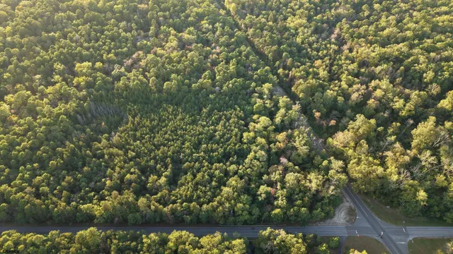 $77,500 | Lot:11.02-12.02 Estelle Avenue, Mays Landing, NJ 08330