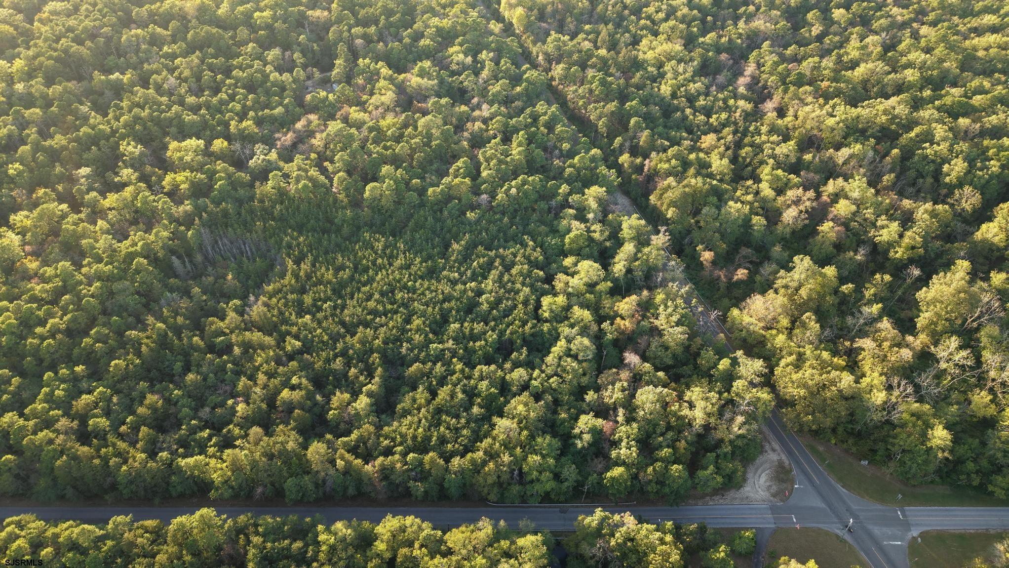 Lot:11.02-12.02 Estelle Avenue Mays Landing, NJ 08330 - Photo 6 of 6 a view of a lake with a tree