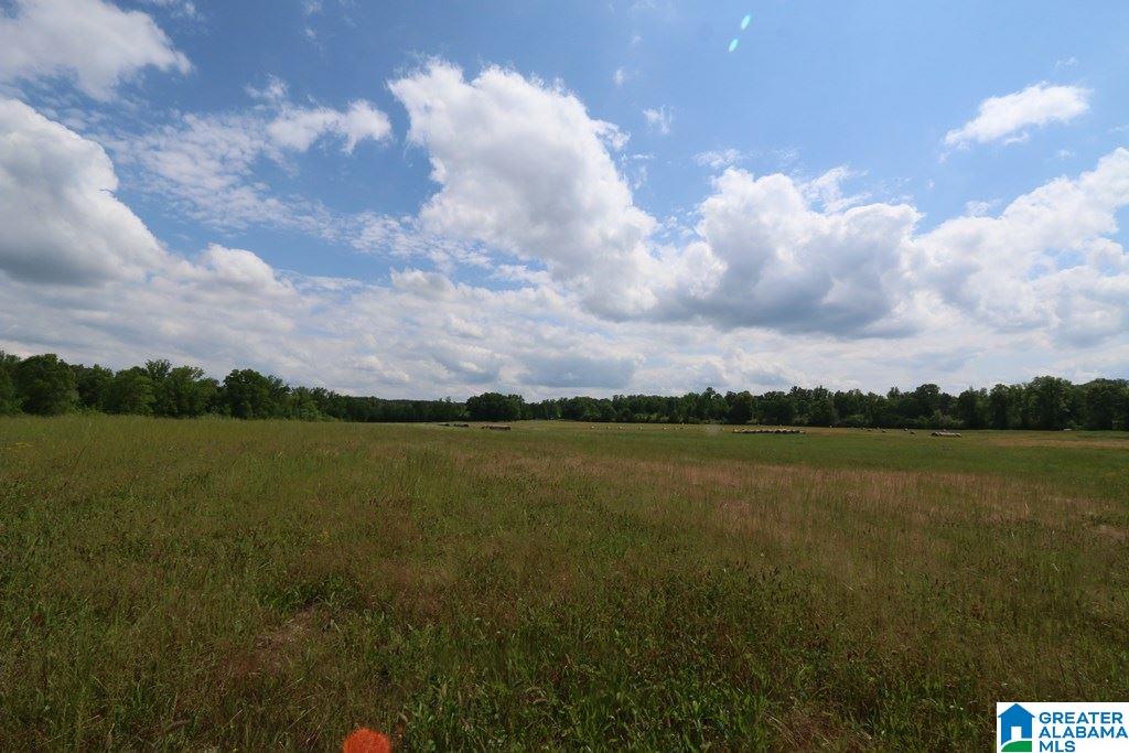 Wolf Creek Road, Unit 79 25 Pell City, AL 35128 - Photo 3 of 14