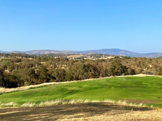 a view of dirt yard with a large tree