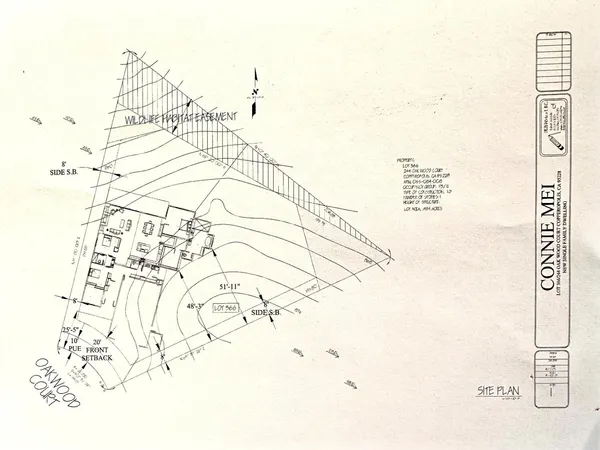 a view of a yard with plants and trees