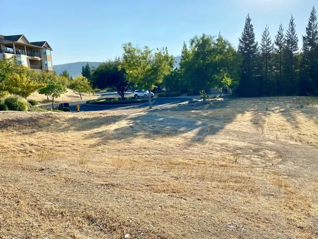 a front view of a house with a yard and a trees
