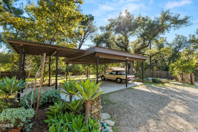 a view of a patio with table and chairs under an umbrella with a large tree