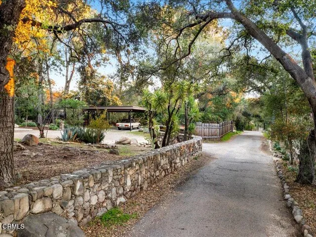 a view of a yard with plants and trees