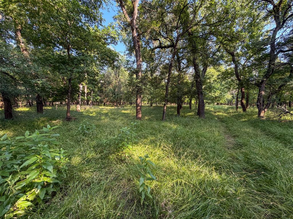 449 Private Road 4670 Rhome, TX 76078 - Photo 33 of 39 a grassy field with trees in the background