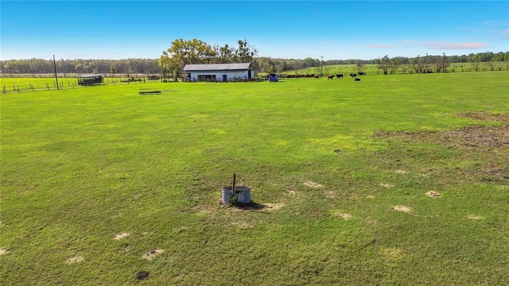 855 Northeast 107th Road Oxford, FL 34484 - Photo 39 of 59