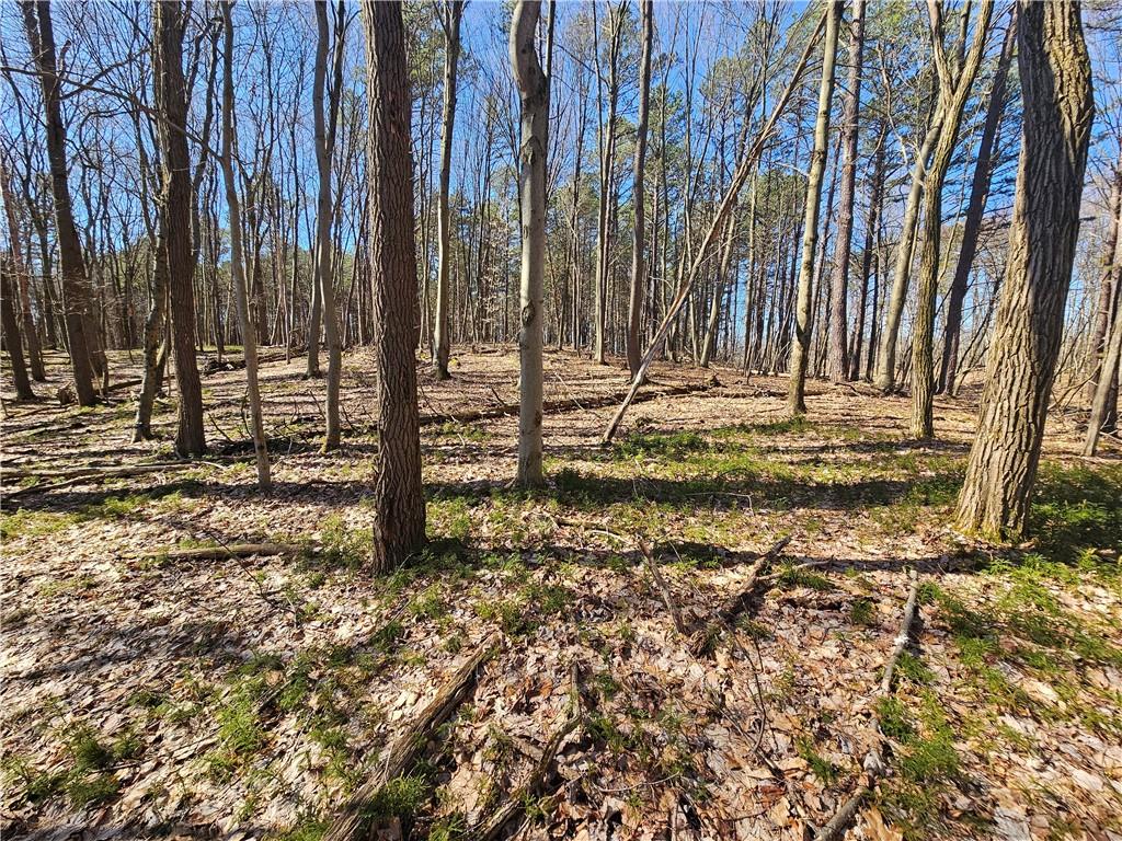 0 Timber Lane Parker, PA 16049 - Photo 7 of 19 a view of outdoor space with trees