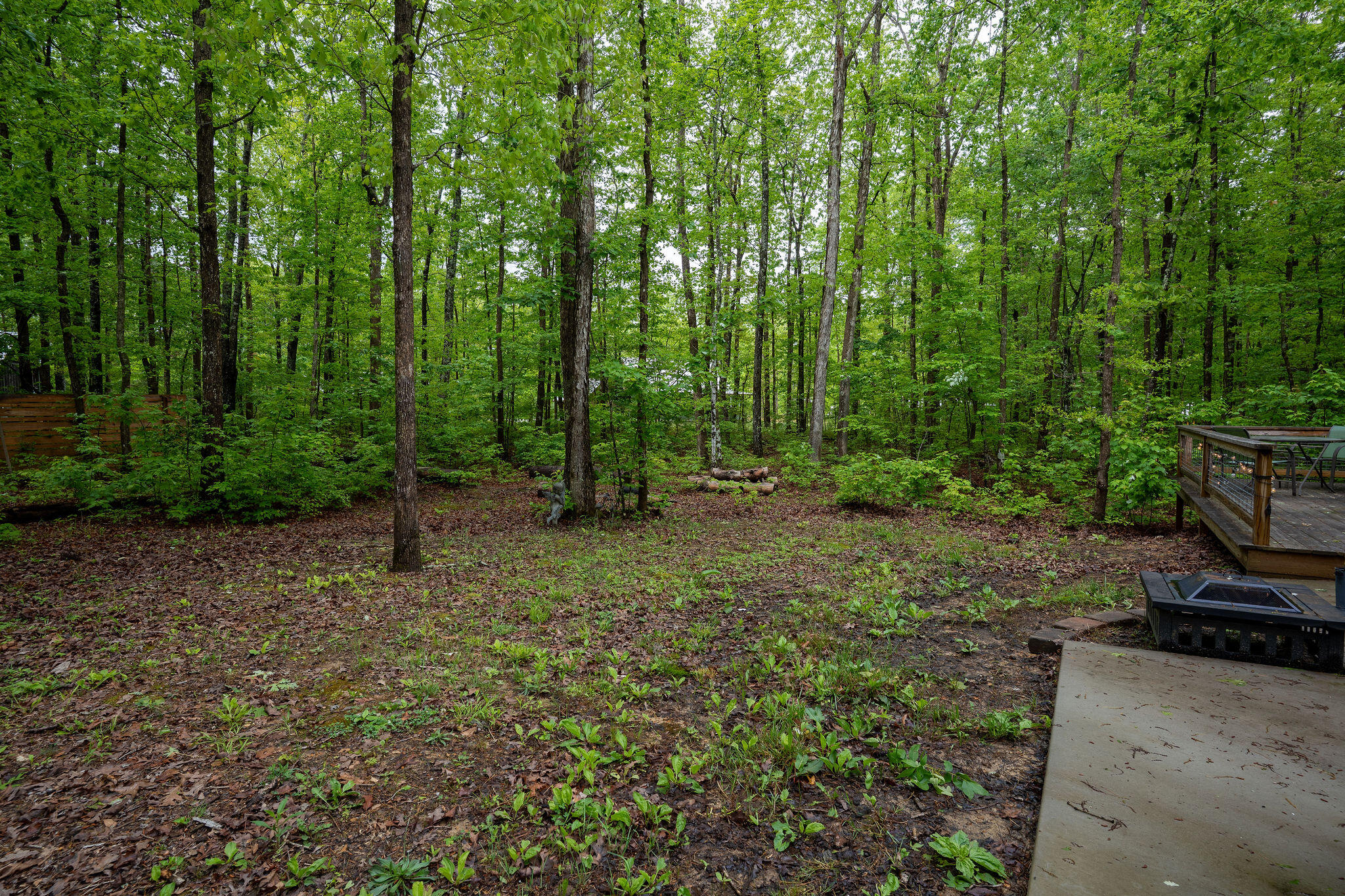 15 Sassafras Trail Rising Fawn, GA 30738 - Photo 38 of 49 A7302366-HDR