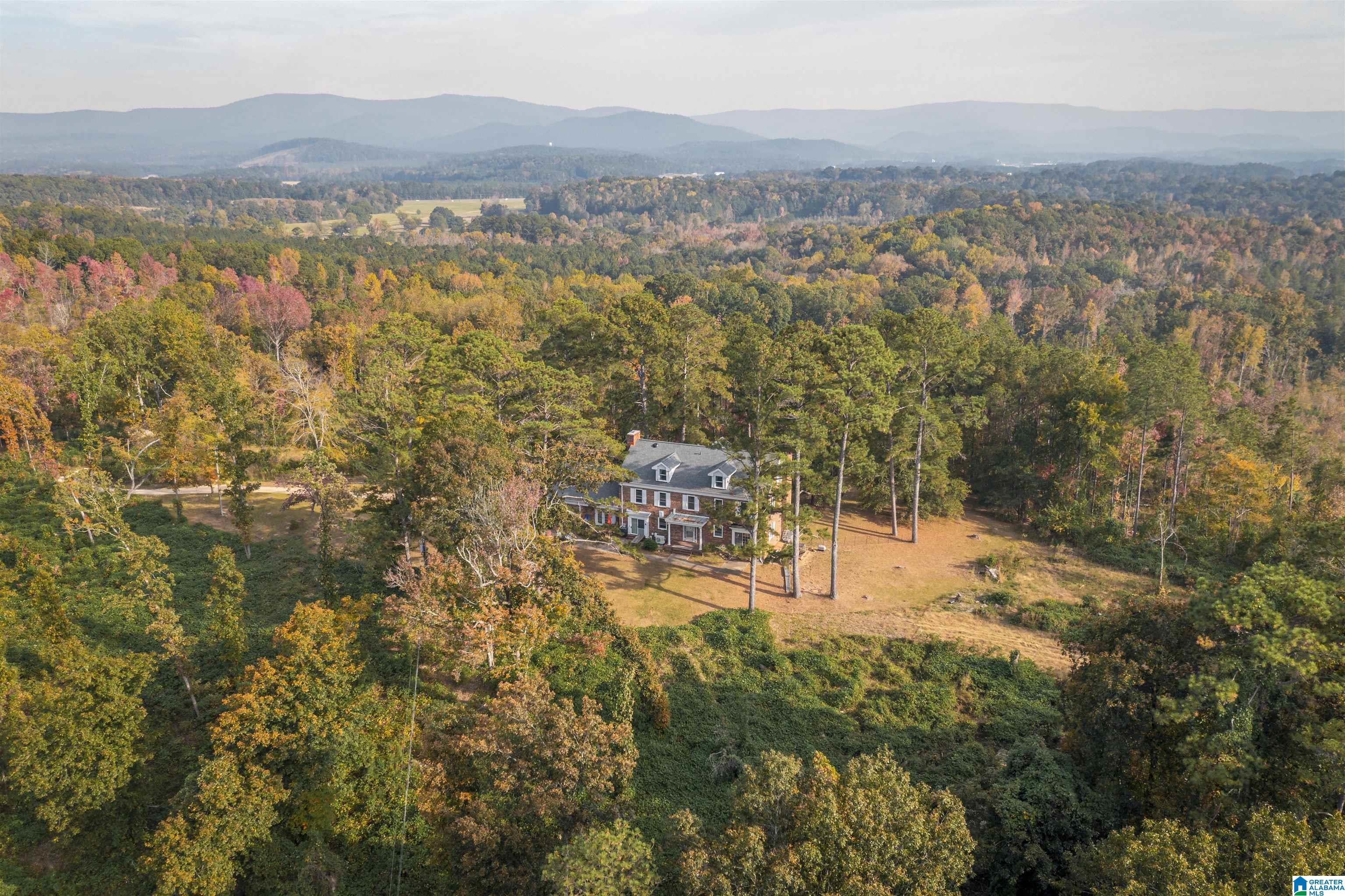 201 Cave Hill Road Weaver, AL 36277 - Photo 4 of 78