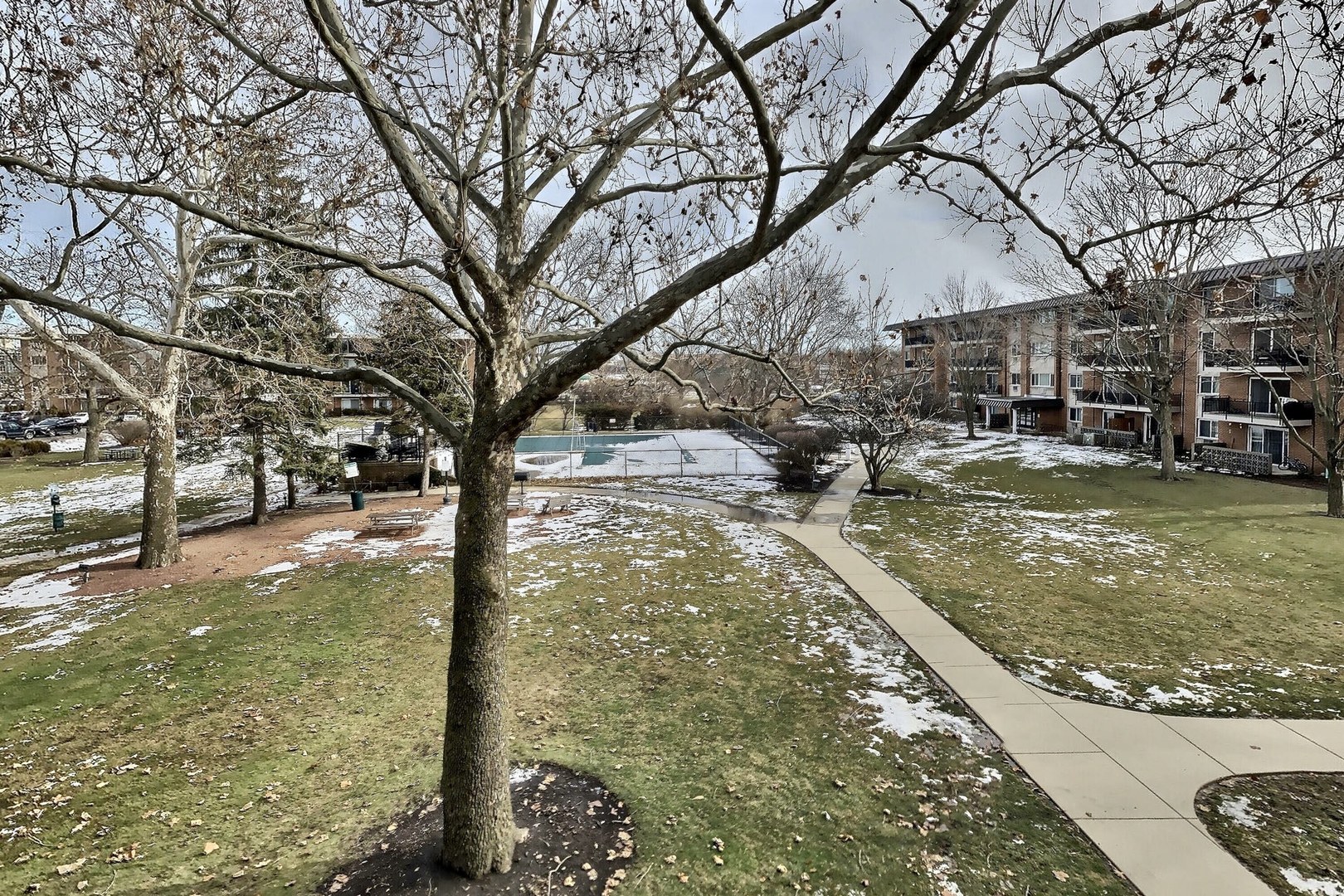 2230 South Goebbert Road, Unit 344 Arlington Heights, IL 60005 - Photo 12 of 12