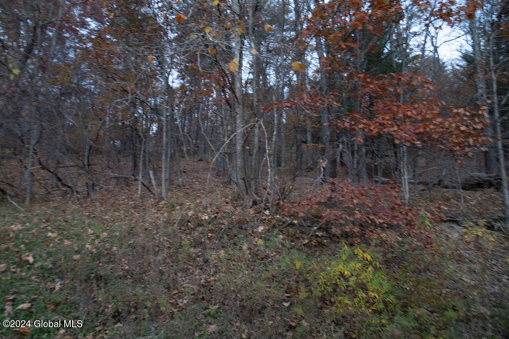 1124 Keyserkill Road Fulton, NY 12122 - Photo 47 of 52 IMG_4894