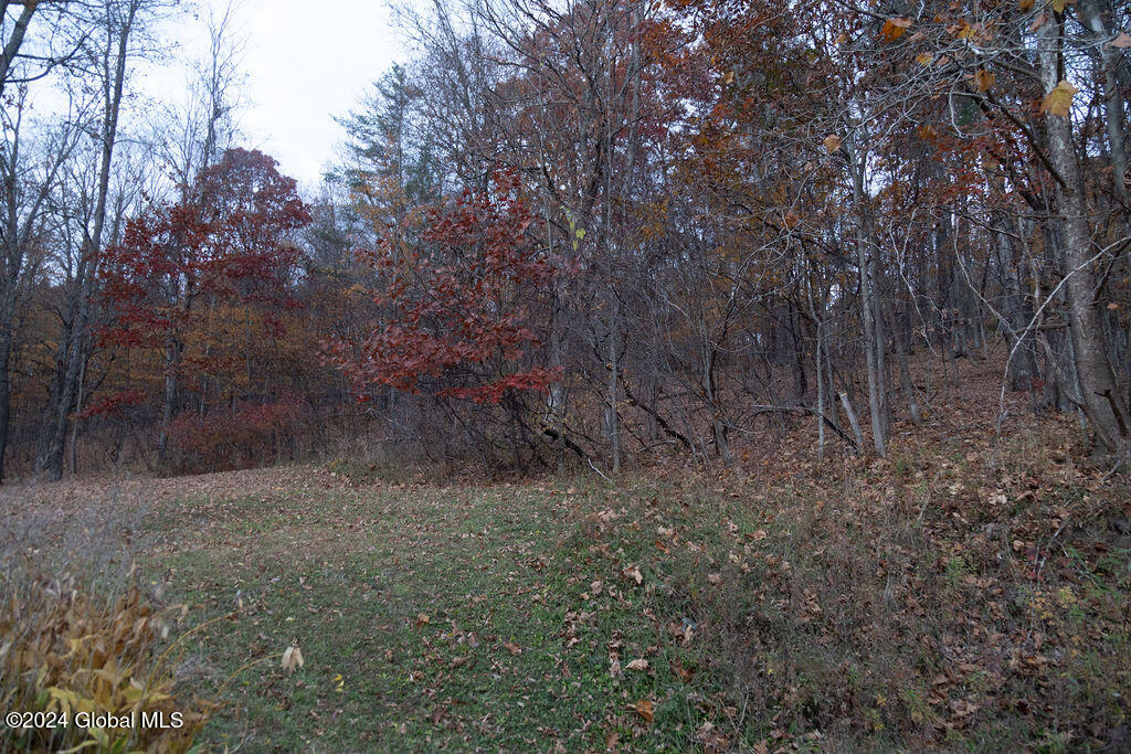 1124 Keyserkill Road Fulton, NY 12122 - Photo 48 of 52 IMG_4896