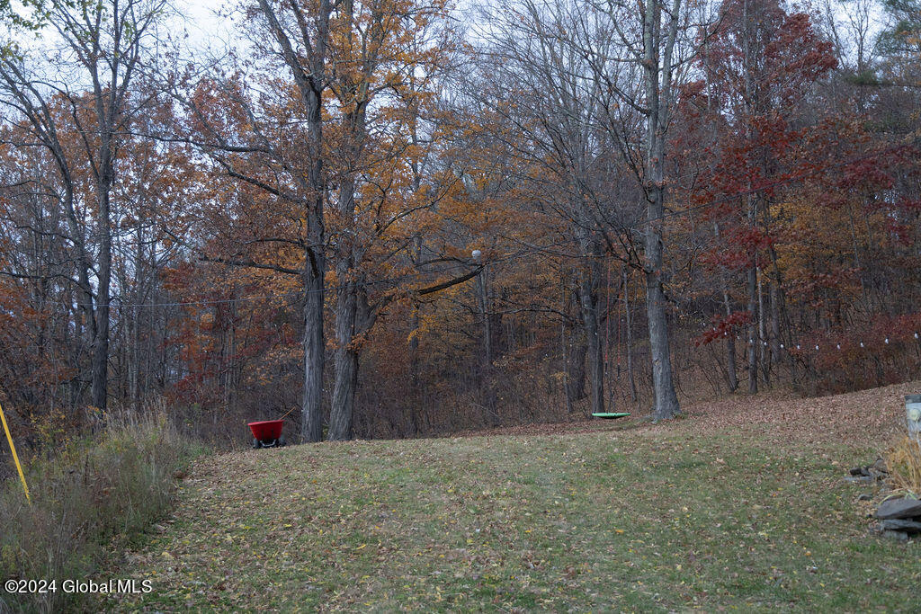 1124 Keyserkill Road Fulton, NY 12122 - Photo 49 of 52 IMG_4856 - Copy