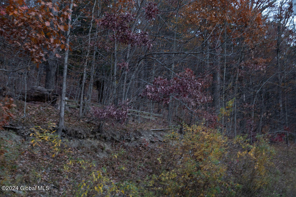 1124 Keyserkill Road Fulton, NY 12122 - Photo 50 of 52 IMG_4897