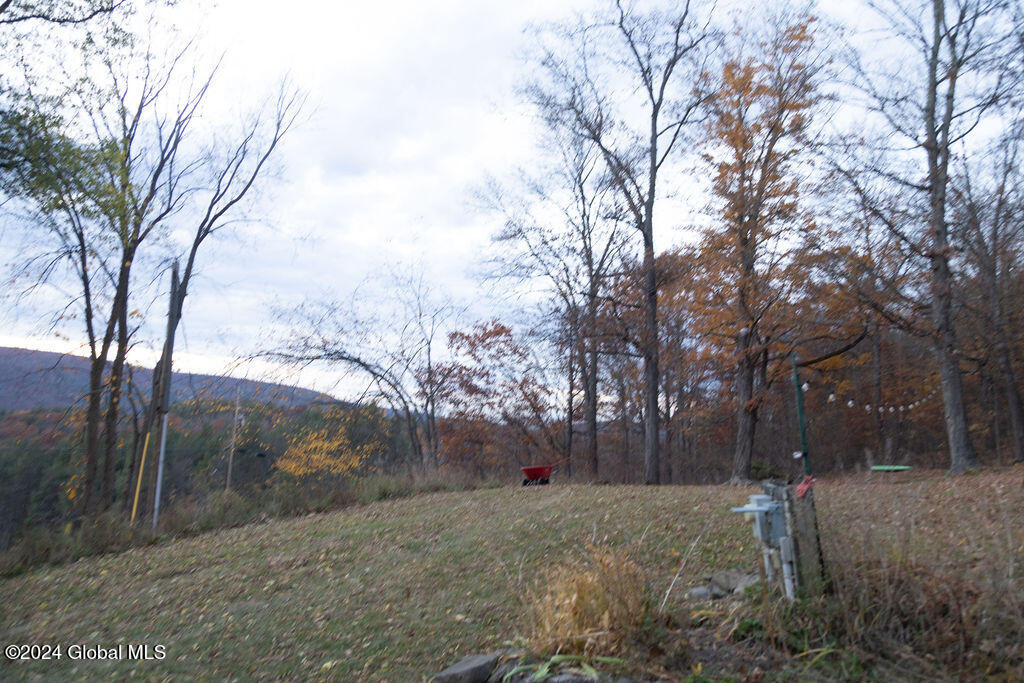 1124 Keyserkill Road Fulton, NY 12122 - Photo 51 of 52 IMG_4900
