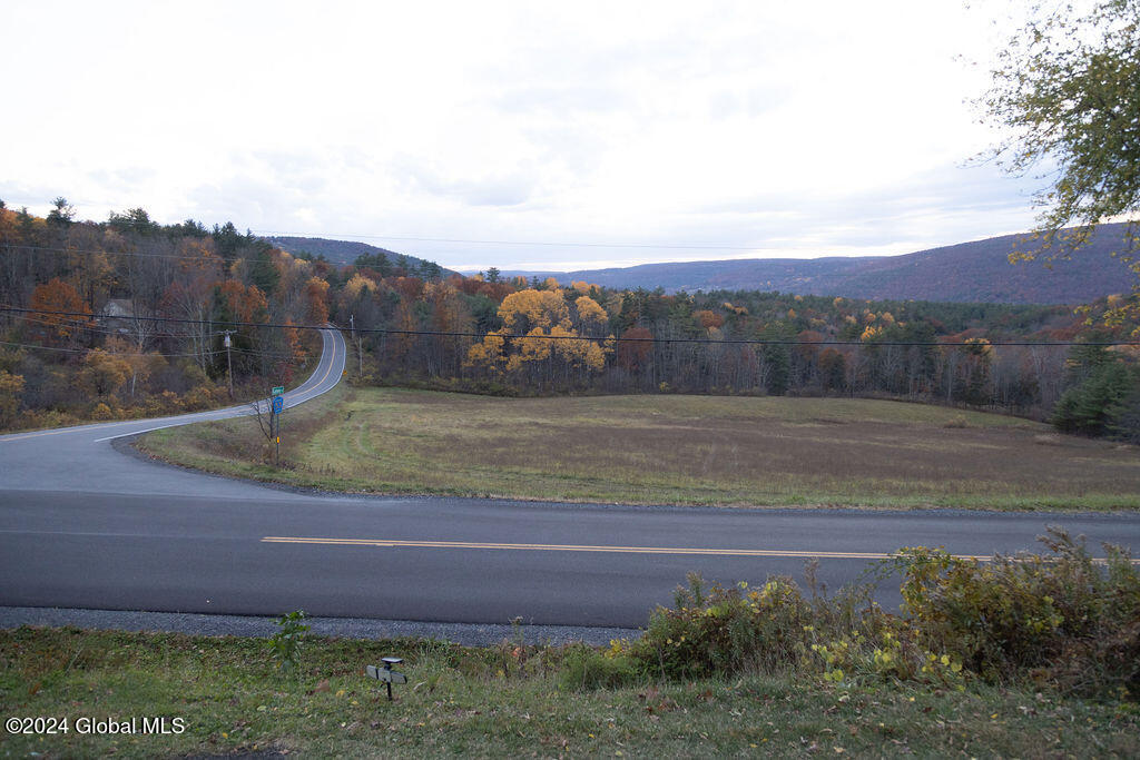 1124 Keyserkill Road Fulton, NY 12122 - Photo 52 of 52 IMG_4855 - Copy