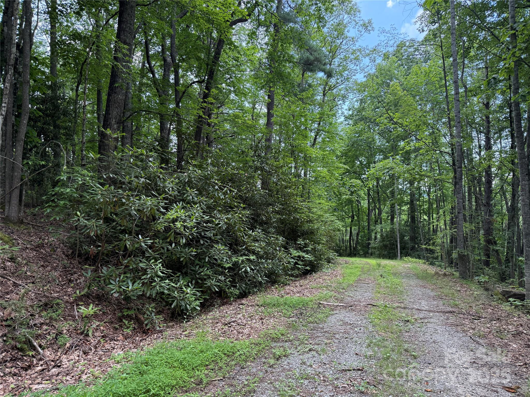 Tbd Red Clover Road Elk Park, NC 28622 - Photo 2 of 37 a view of outdoor space and green space