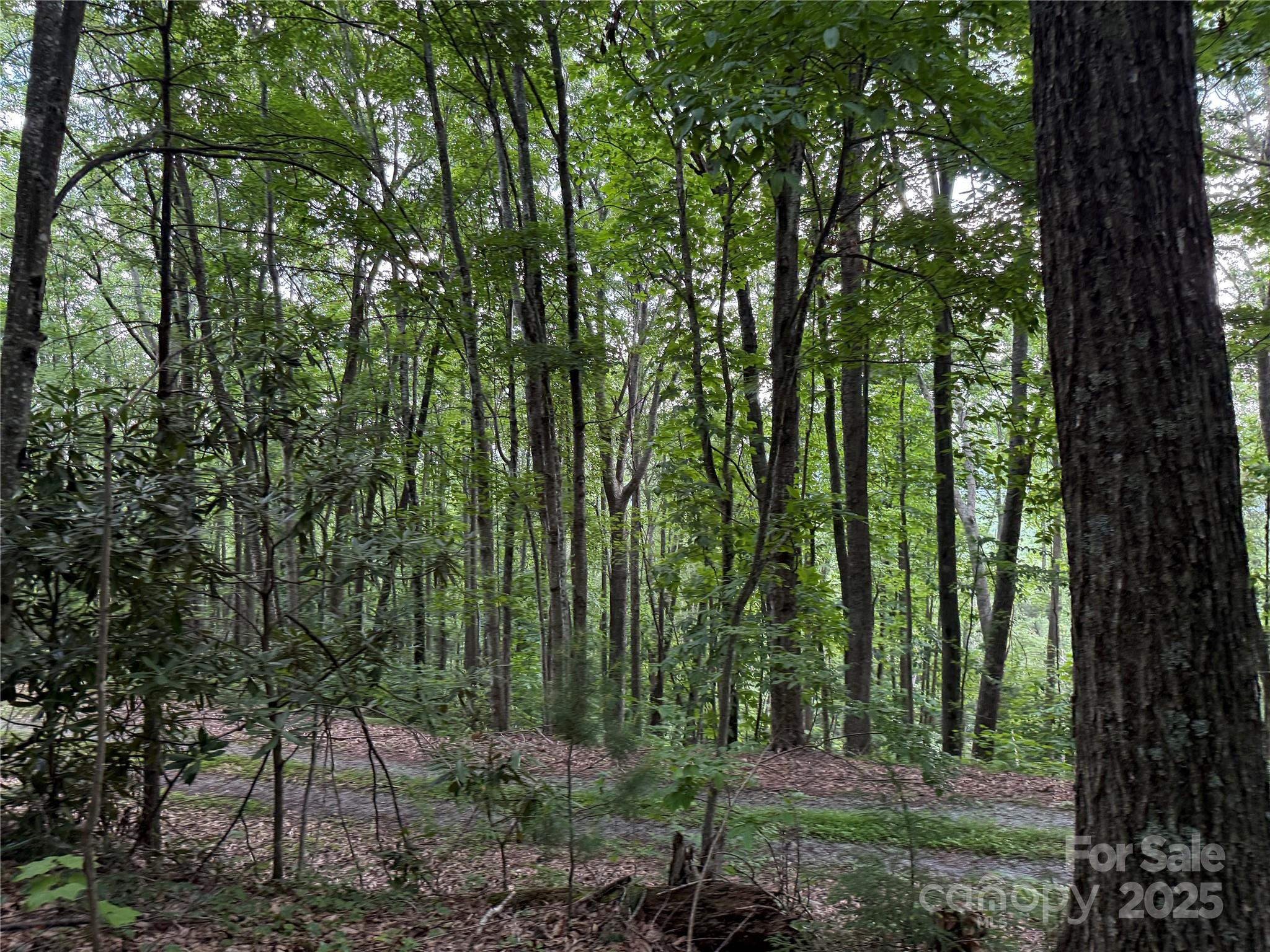 Tbd Red Clover Road Elk Park, NC 28622 - Photo 23 of 37 a view of outdoor space and garden