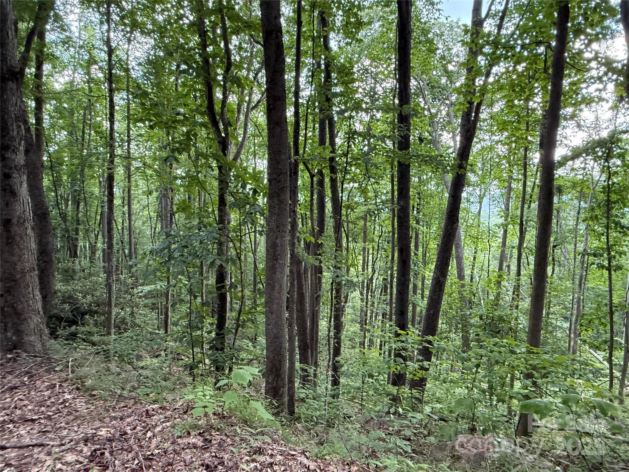 Tbd Red Clover Road Elk Park, NC 28622 - Photo 26 of 37 a view of outdoor space and green space