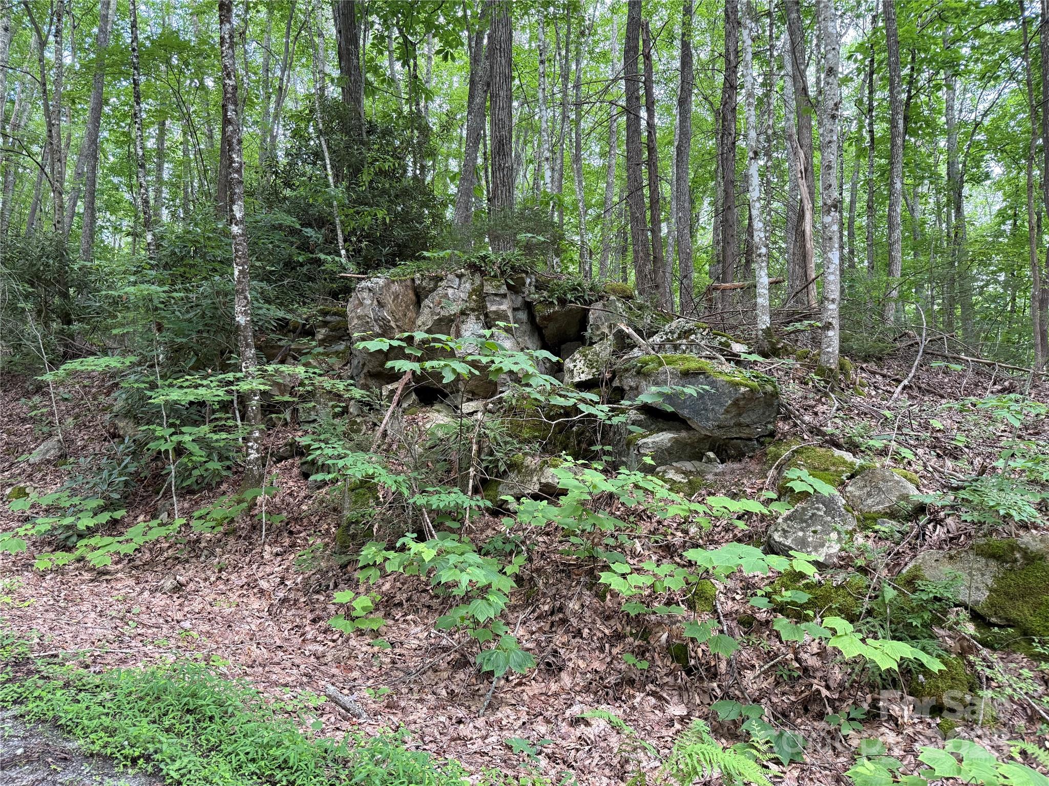 Tbd Red Clover Road Elk Park, NC 28622 - Photo 28 of 37 a view of outdoor space and green space