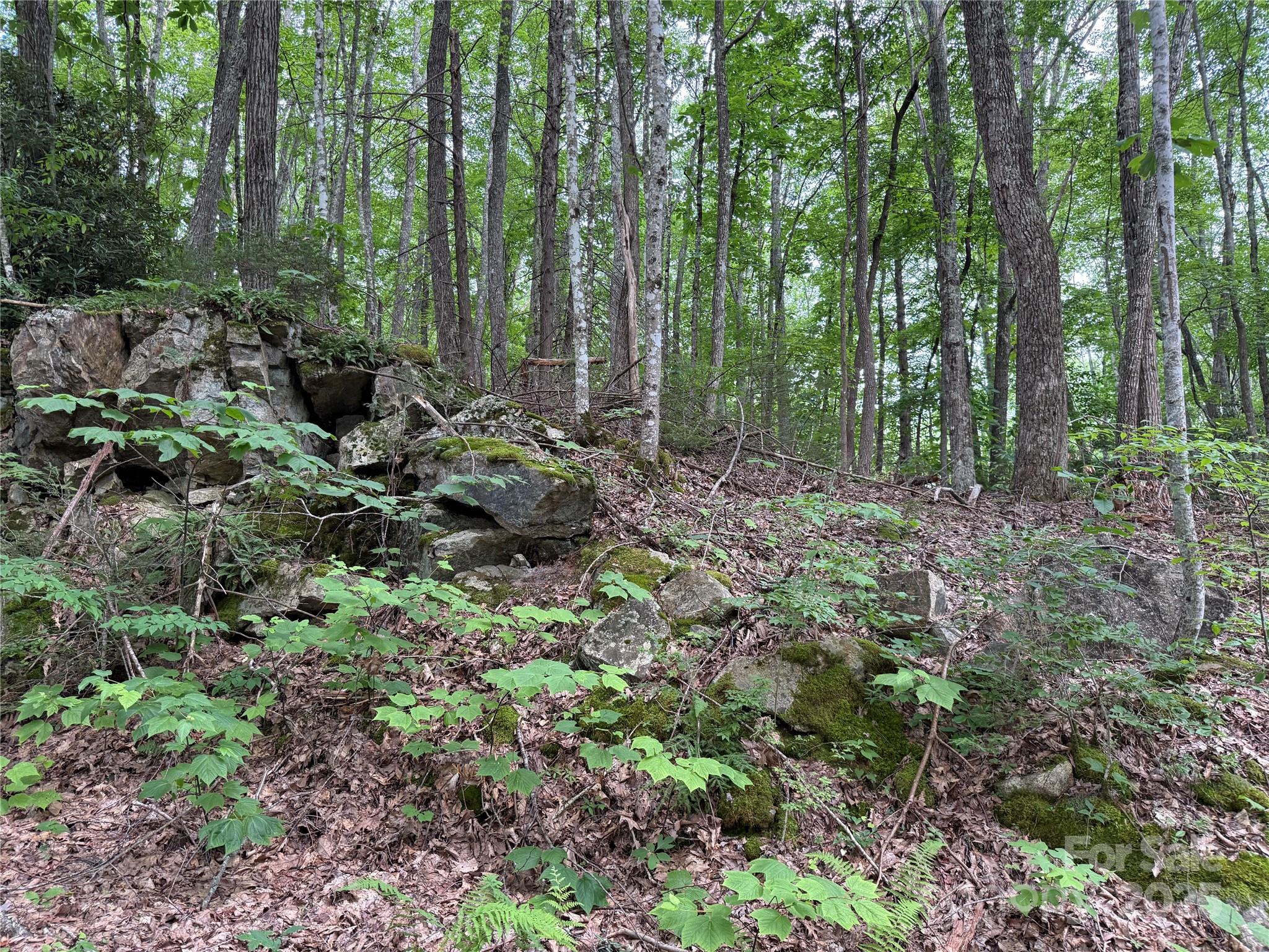 Tbd Red Clover Road Elk Park, NC 28622 - Photo 29 of 37 a view of outdoor space and green space