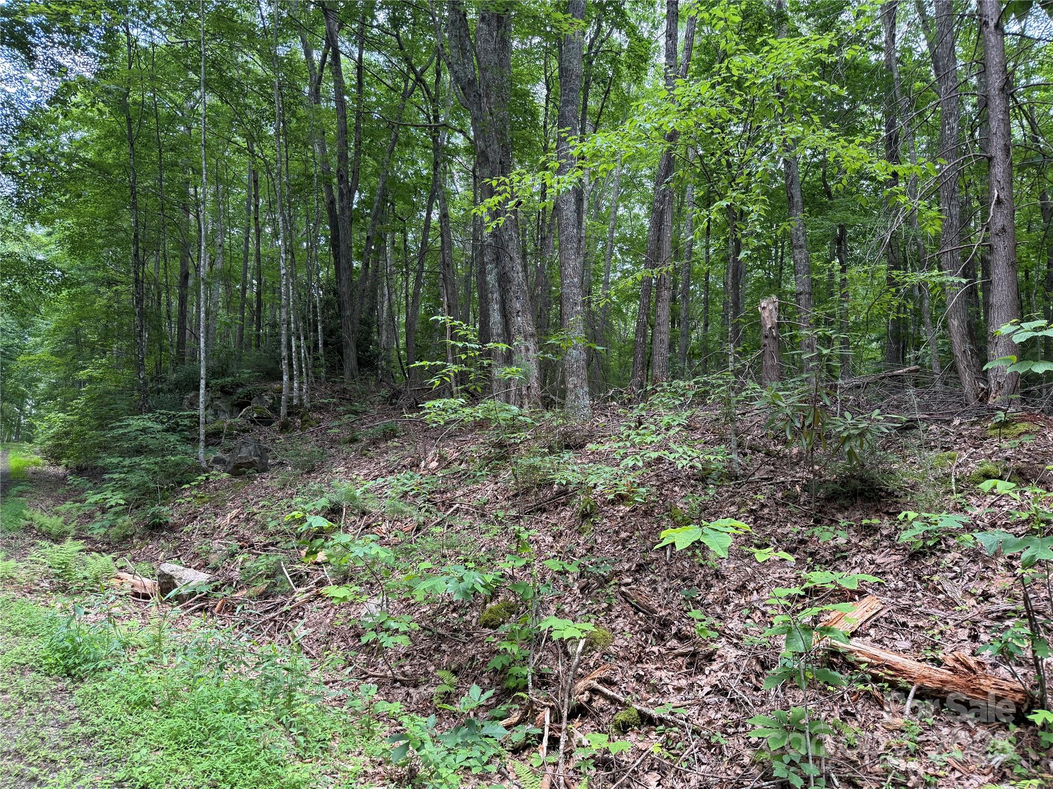 Tbd Red Clover Road Elk Park, NC 28622 - Photo 3 of 37 a view of outdoor space and green space