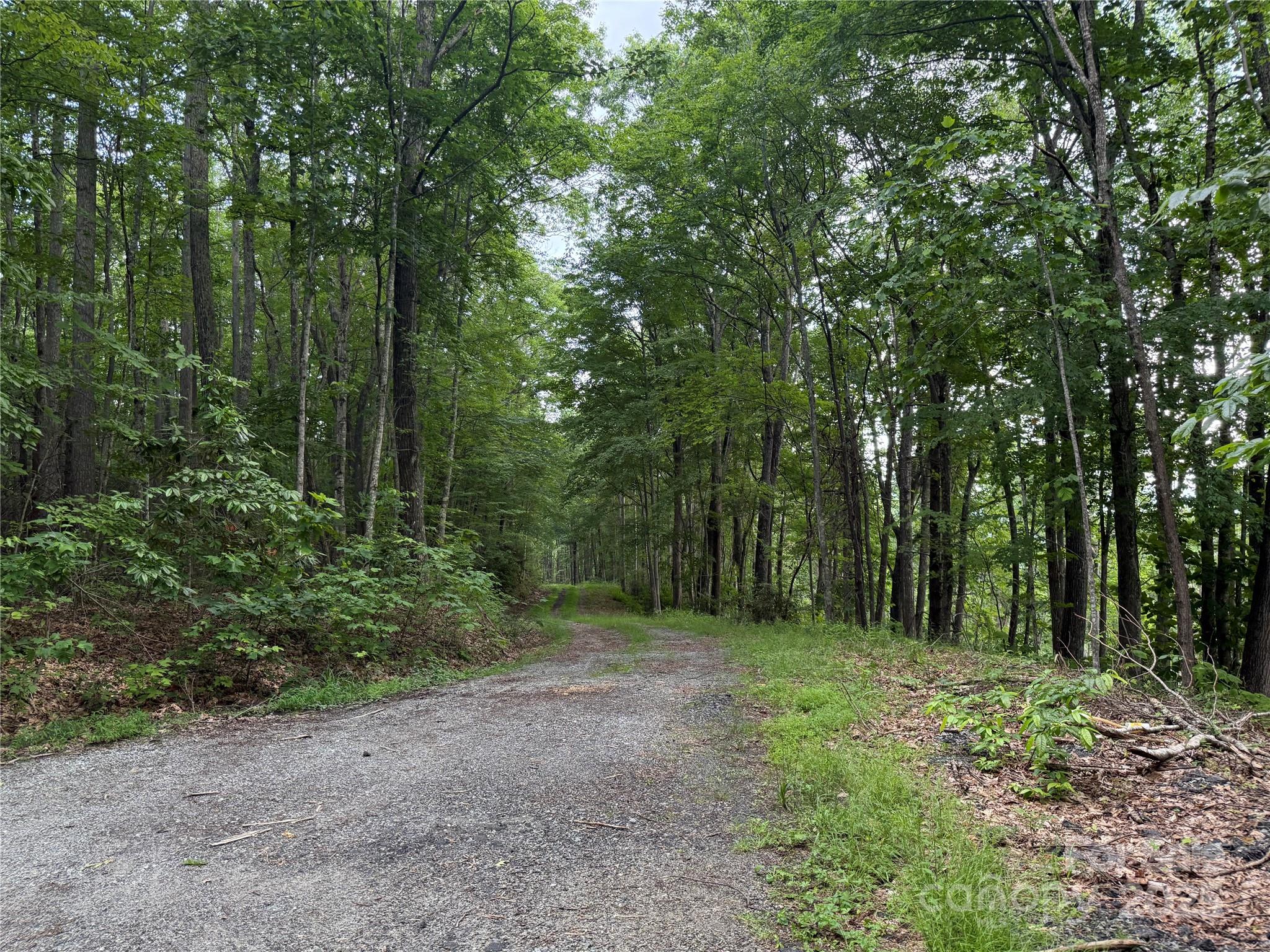 Tbd Red Clover Road Elk Park, NC 28622 - Photo 31 of 37 a view of outdoor space and trees
