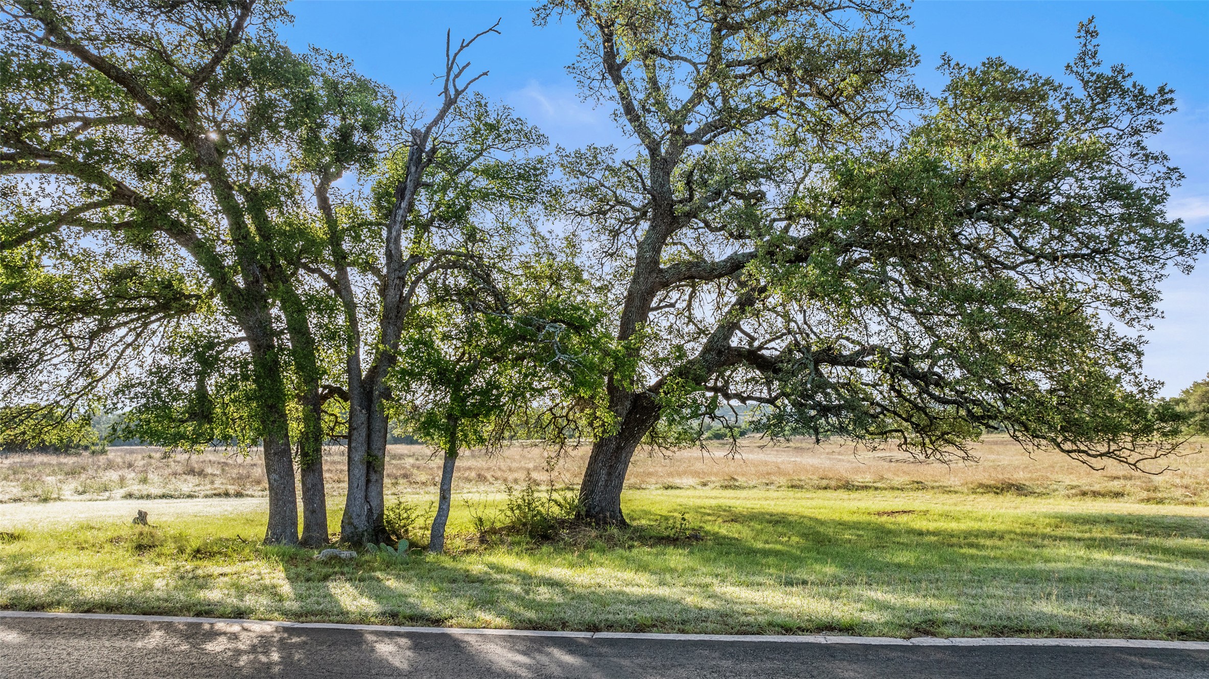 Lot 4 Vista Rdg Drive Round Mountain, TX 78663 - Photo 2 of 21 View of yard