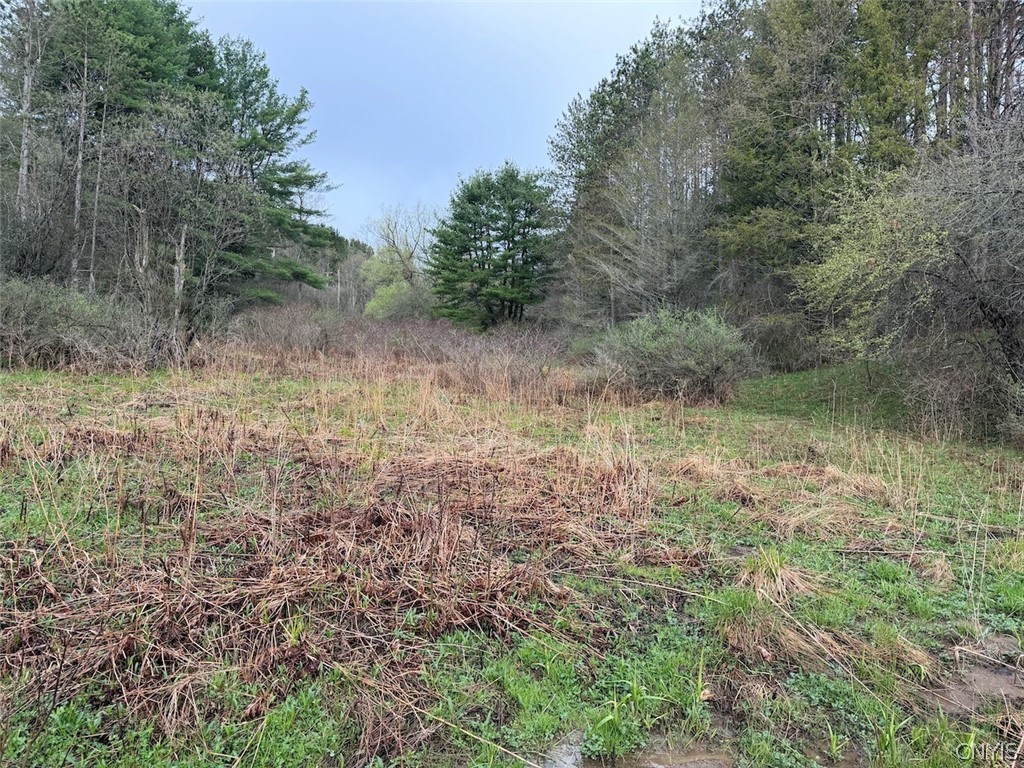 Mccann Hollow Road Olean, NY 14760 - Photo 12 of 38